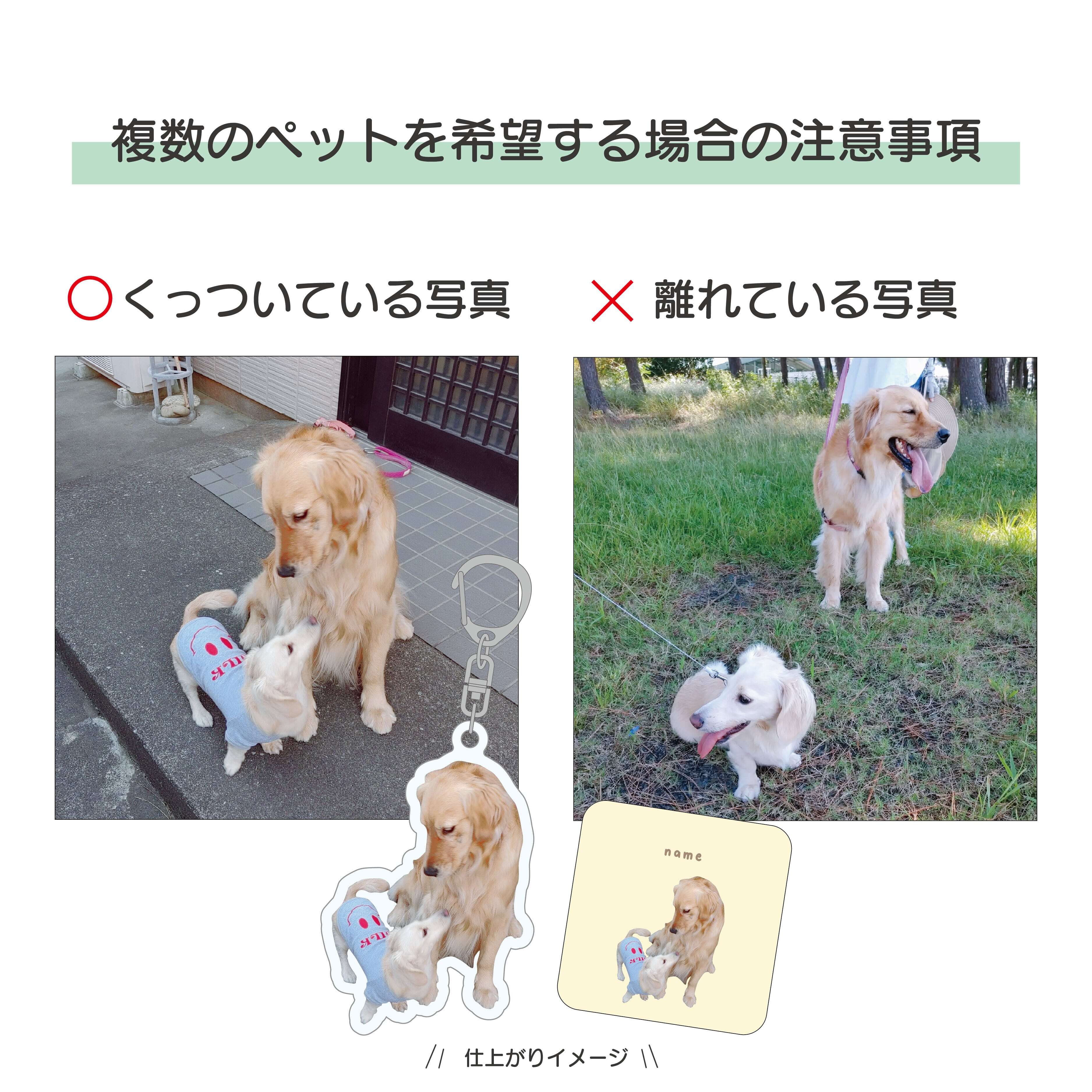 アクリルスタンド ハート型 85×85mm｜写真入り 名入れ｜うちの子
