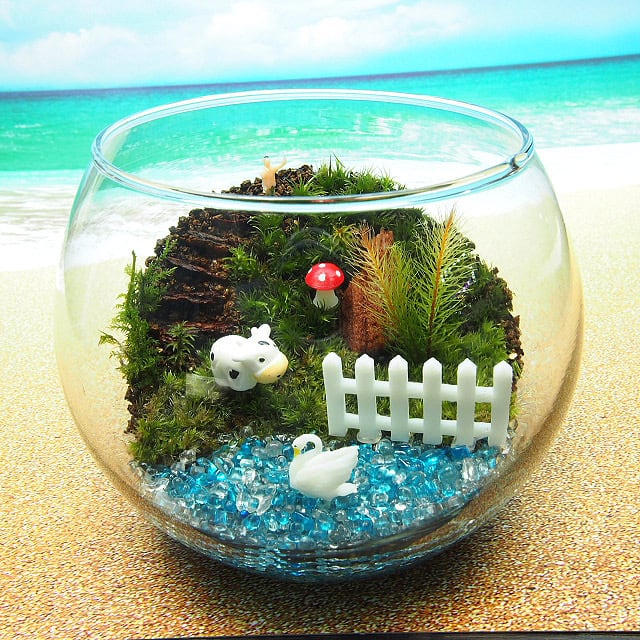 苔テラリウム・手作りキット一式】牛と白鳥の湖 | 工房・津軽moss