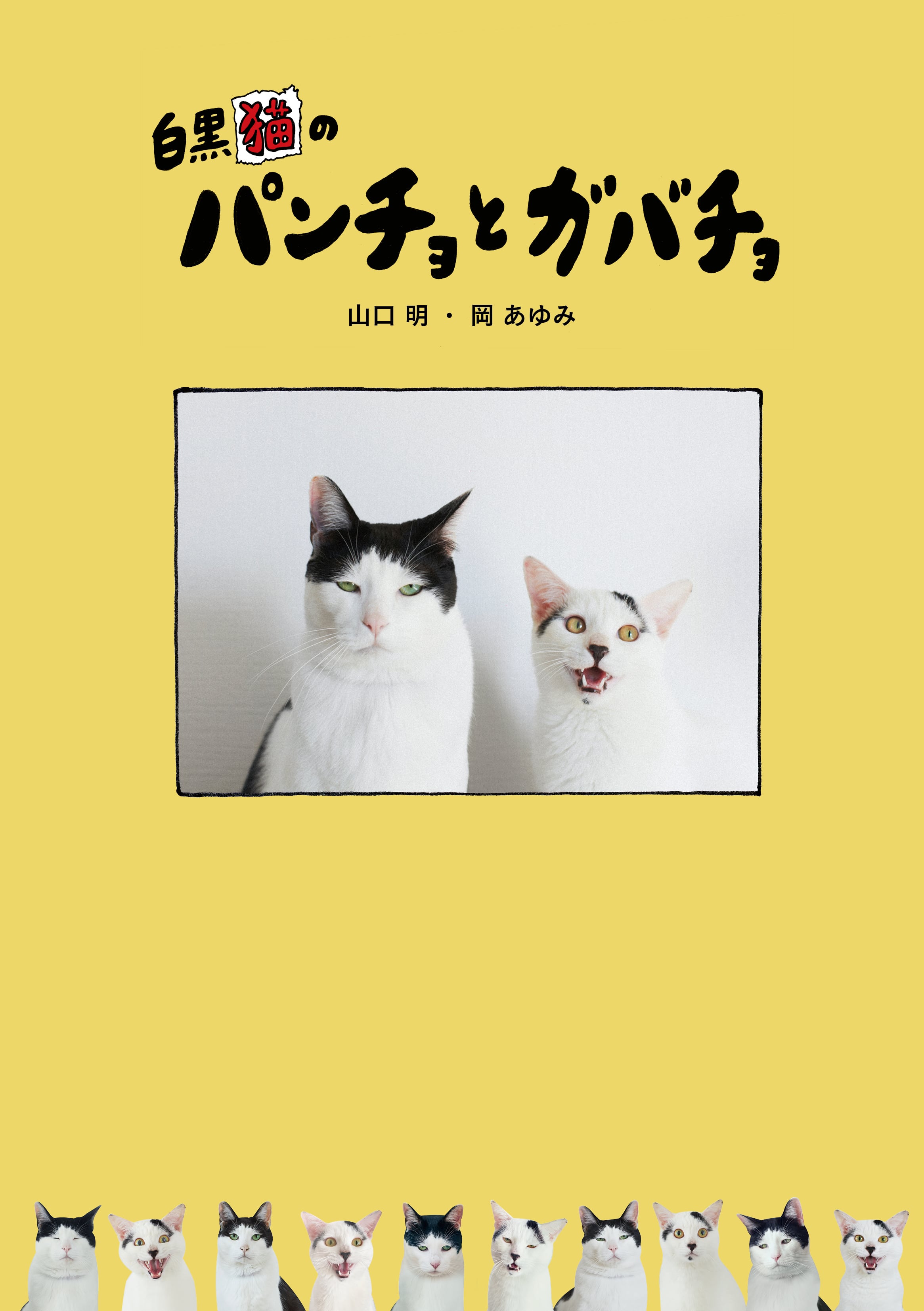 白黒猫のパンチョとガバチョ【特典付き】 | hayaoki books