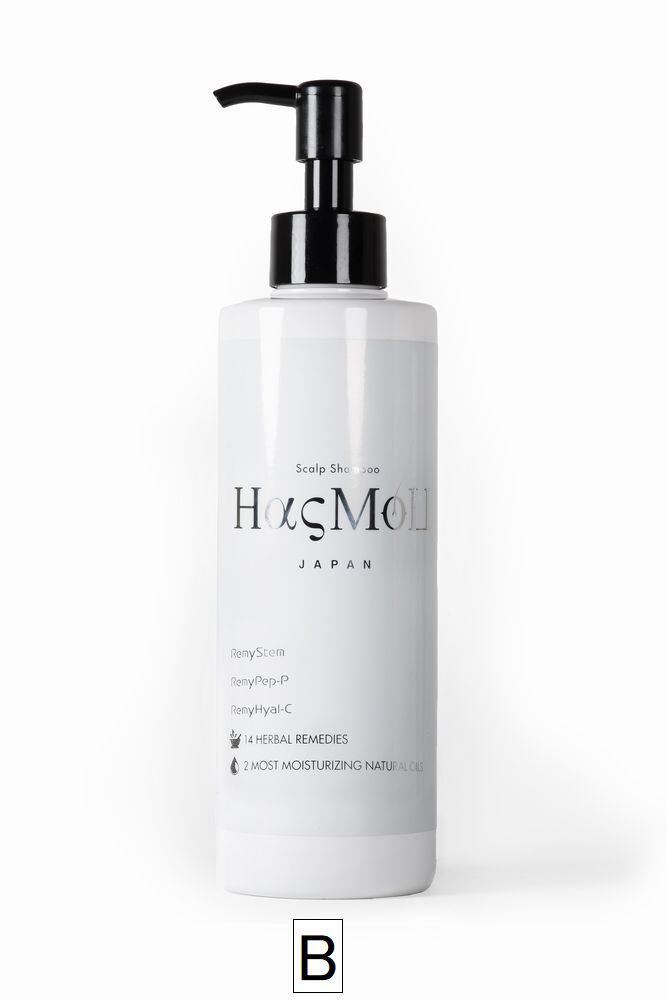 HasMoU（ハスモウ）