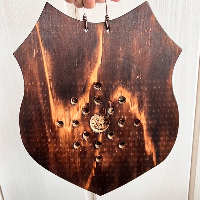 ビカクシダ ウィリンキー 板付 【観葉植物 室内 コウモリラン】