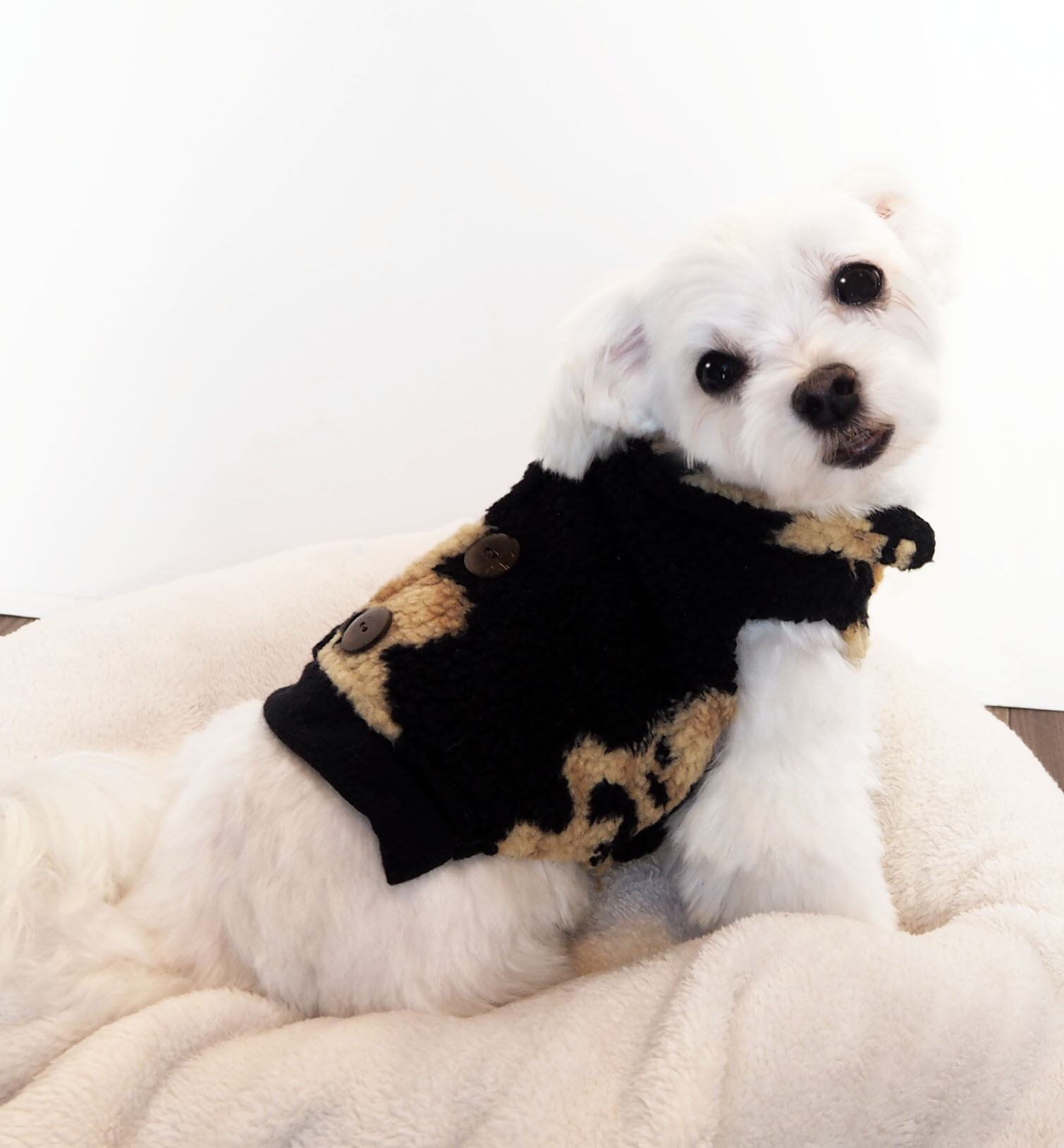 【ドッグウェア】モコモコくまジャケット ホワイト/ブラック