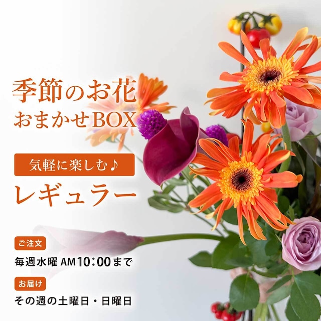 季節のお花 おまかせBOX・レギュラー｜Happy Halloween★Flowers｜月替わりの切り花・生花セット〈フラワーロス削減〉