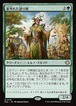 MTG《並外れた語り部/Formidable Speaker(ECL)》日本語