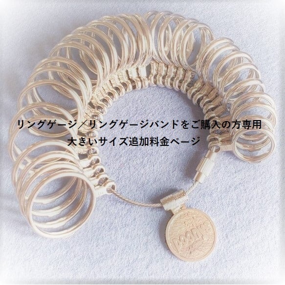 サイズ追加料金