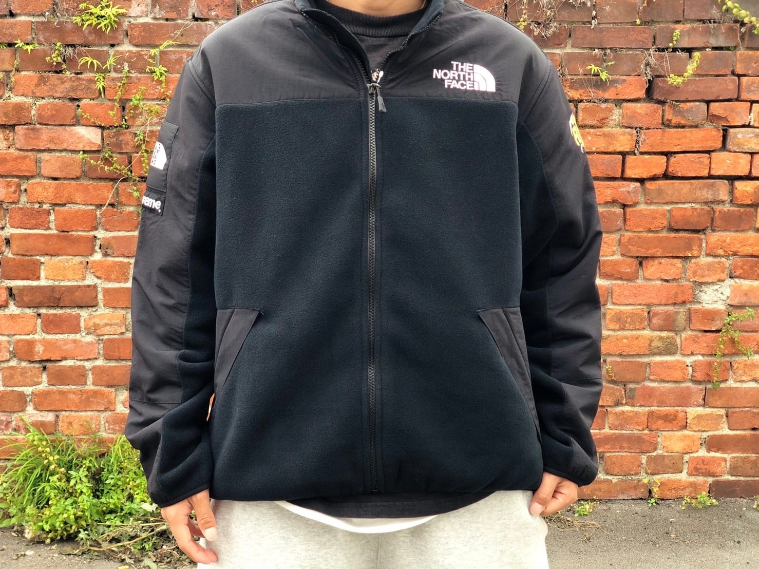 Supreme × 20ss THE NORTH FACE RTG FLEECE BLACK MEDIUM 250JE5997 ...