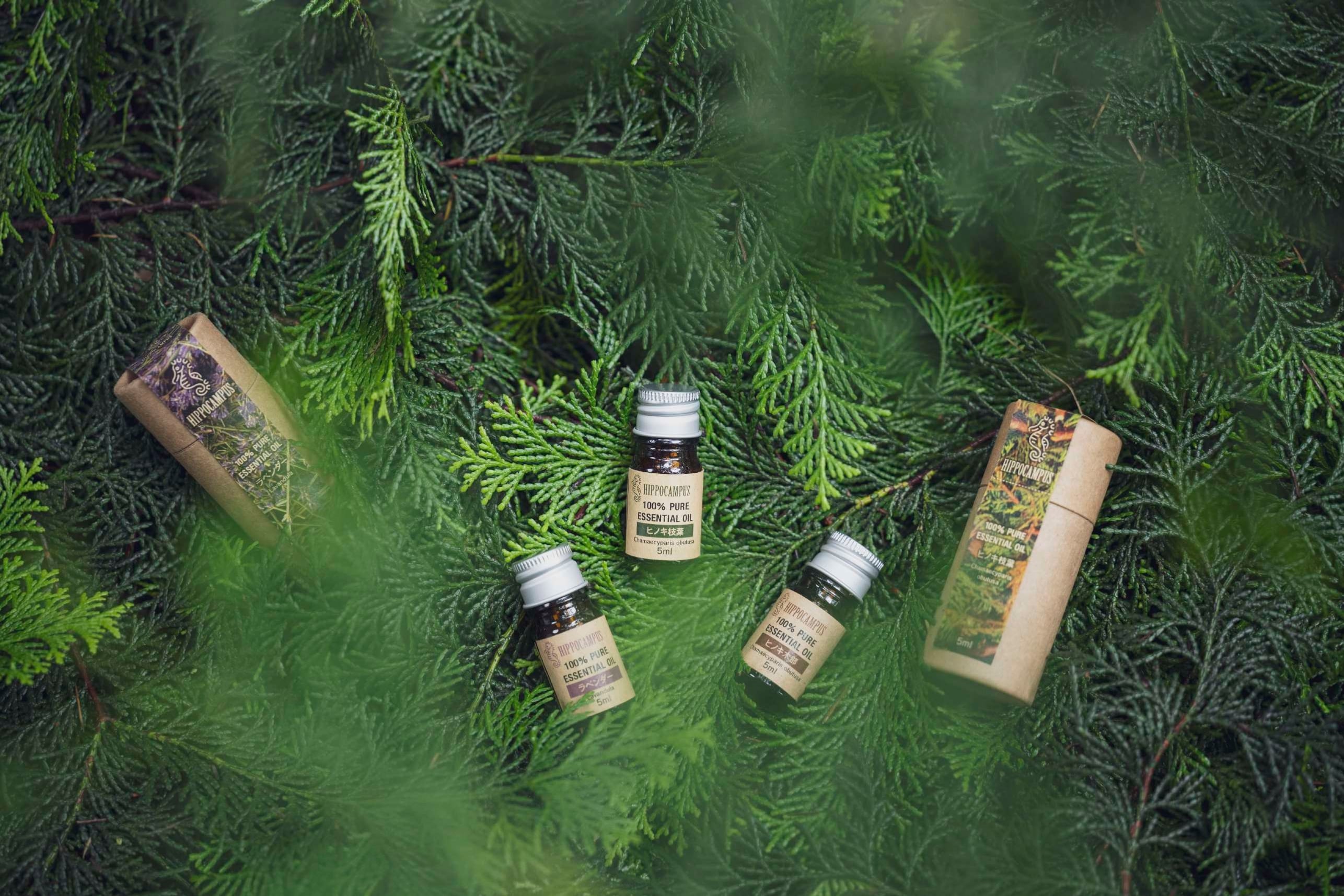 長野県産 真田スプルース精油 5ml | HIPPOCAMPUS