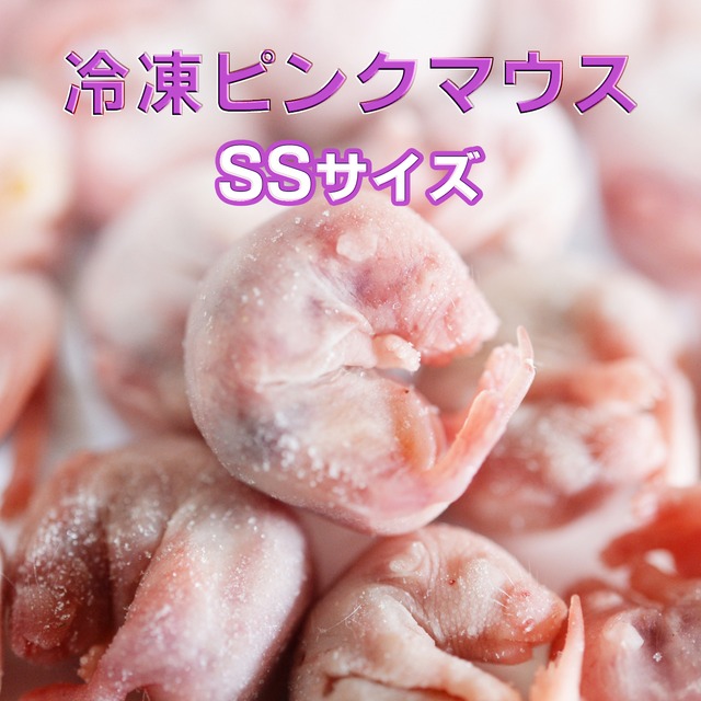 【冷凍】ピンクマウス SSサイズ　10匹セット