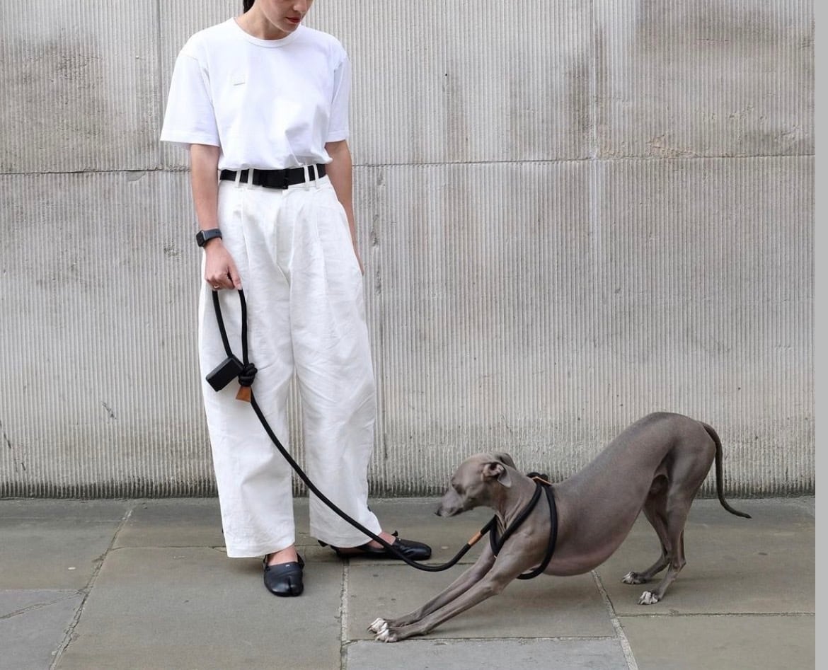 boo'oh レイハーネス Mサイズ グレー（灰色）系 Boo Oh(ブオ) ペット