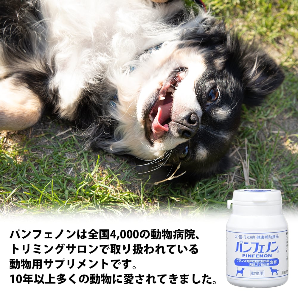 パンフェノン 120粒 動物用健康補助食品 心臓 咳 気管 僧帽弁 弁膜症