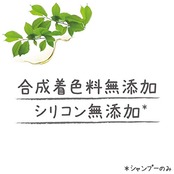 ダヴ ボタニカルセレクション つややかストレート シャンプー つめかえ用 350g