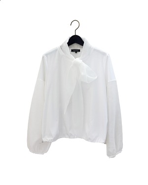 2way sheer sleeves cutsew / DUAL VIEW