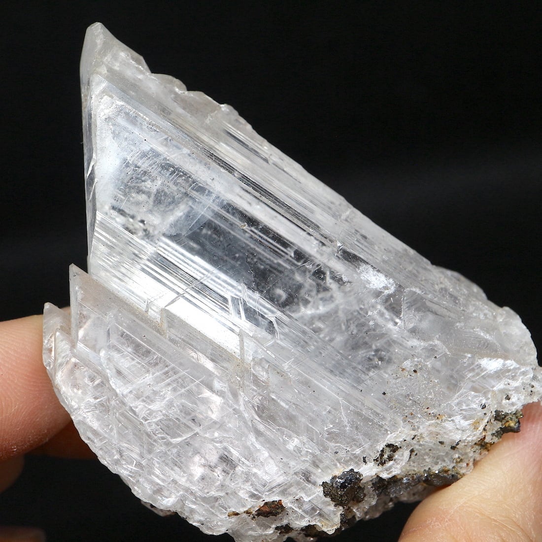 セレナイト メキシコ産 鉱石 鉱物 ミネラル 標本 原石 ④ セレナイト 451 メキシコ - 鉱物標本・隕石標本販売のWeb専門店