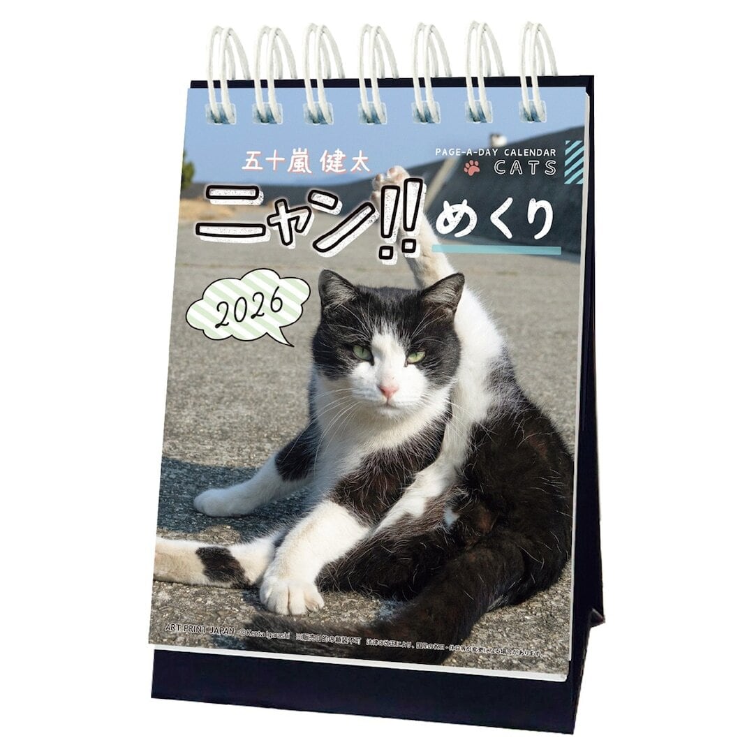 日めくりカレンダー「にゃん‼︎めくり2026」 | 猫雑貨屋 飛び猫商店
