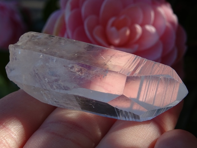 Lemurian Seed Crystal（４） ~Beside~
