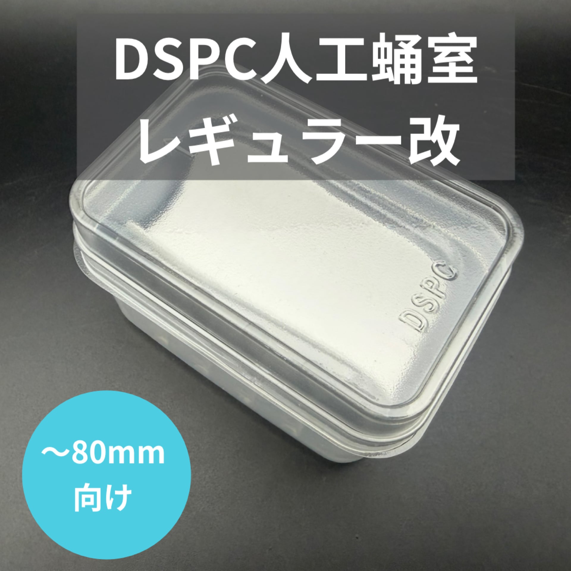 黒】バードウィング製 ドイツ型標本箱 大型BW60 UVカット仕様 | KPW BASE店
