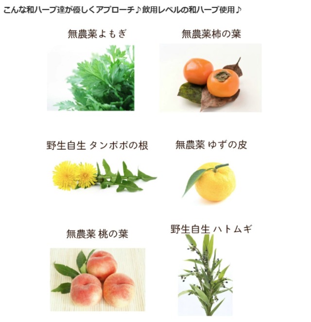 和ハーブ よもぎ蒸しパック あでやか天女 20包  国産無農薬ハーブ 送料無料