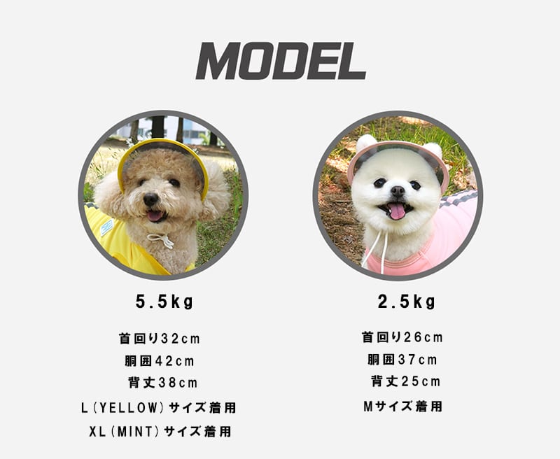 【SALE】 cool sun cap set S ~ 2XL 3color / 犬服 夏 新作 冷感 トップス タンクトップ 可愛い 犬の服 ドッグウェア  サンバイザー 暑さ対策 ワンコ服 UV対策 小型犬 中型犬 猫 top135