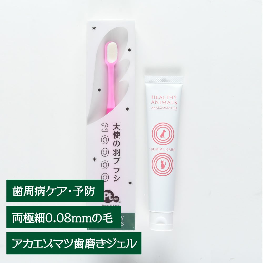 CLEAN WAN 犬・猫用口腔ジェル 3本＆歯ブラシ＆スタートブックセット Amazon.co.jp: CLEAN WAN クリーンワン 犬 歯磨き ジェル 歯垢取り 歯