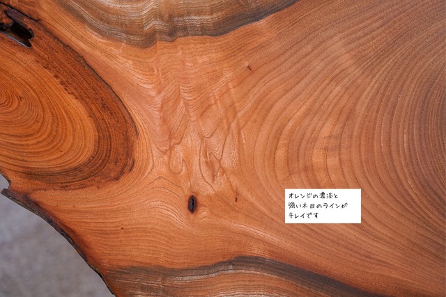 欅の輪切り コーヒーテーブル⑤（高さ・カラー変更無料）