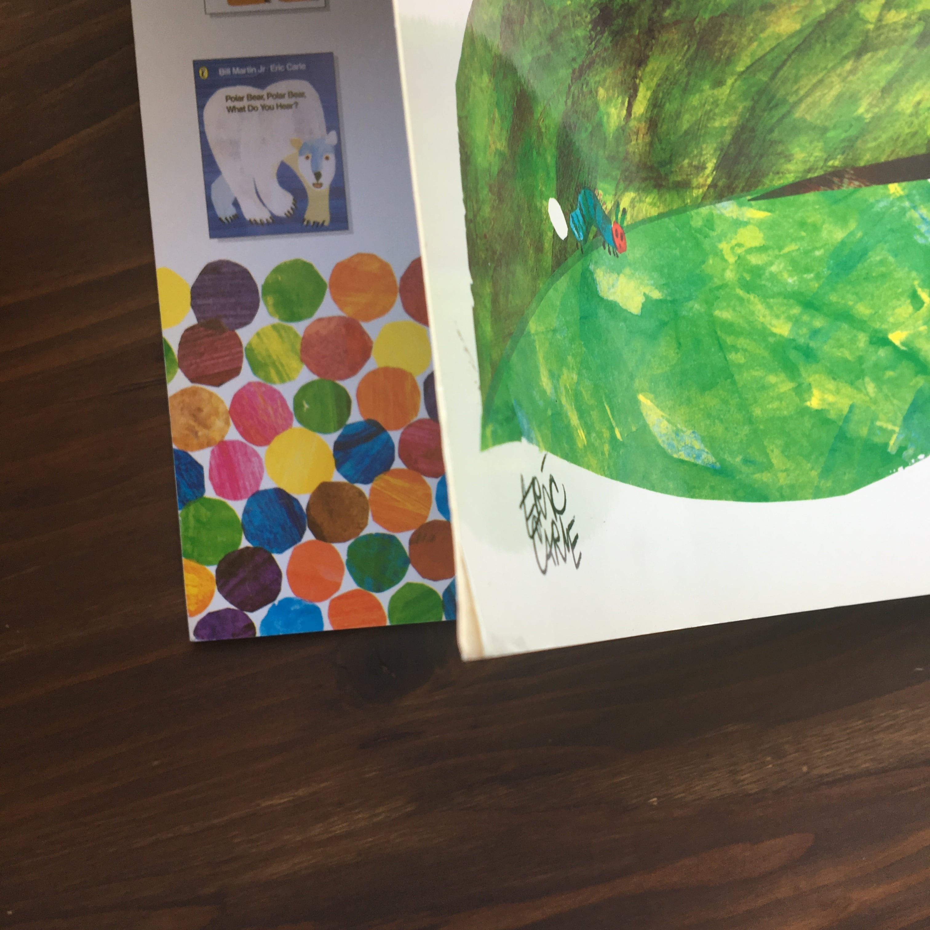 THE VERY HUNGRY CATERPILLAR(Eric Carle)