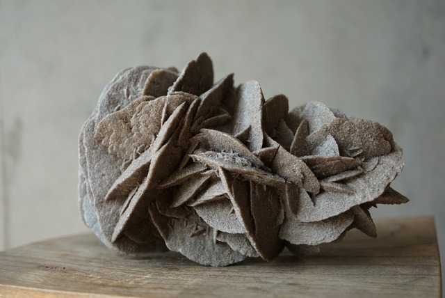 デザートローズ Desert Rose 1403