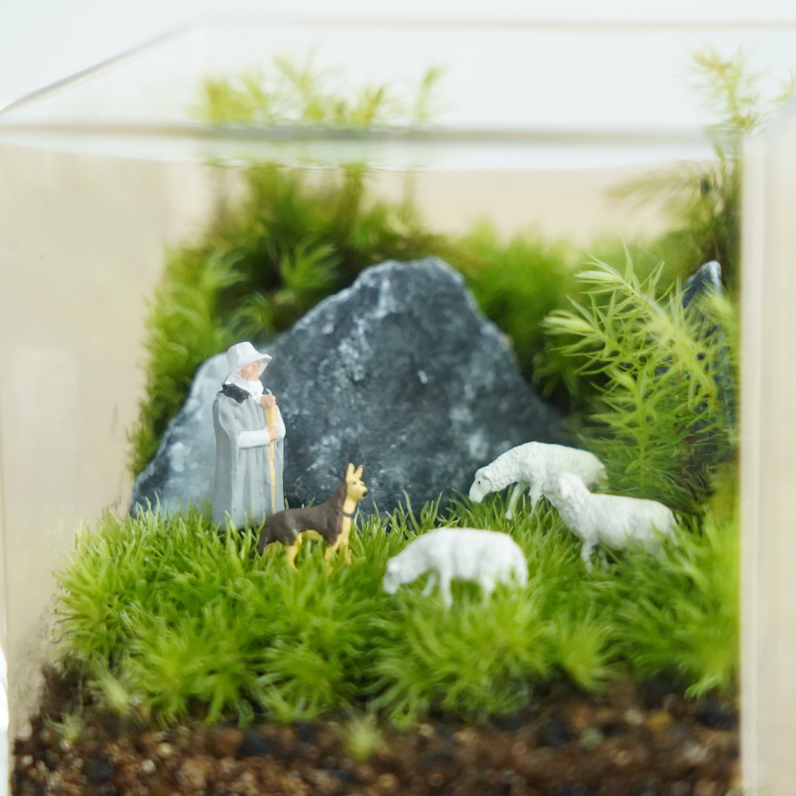 フィギュア】プライザー 羊飼い8体入り | 苔テラリウム専門ショップ道草