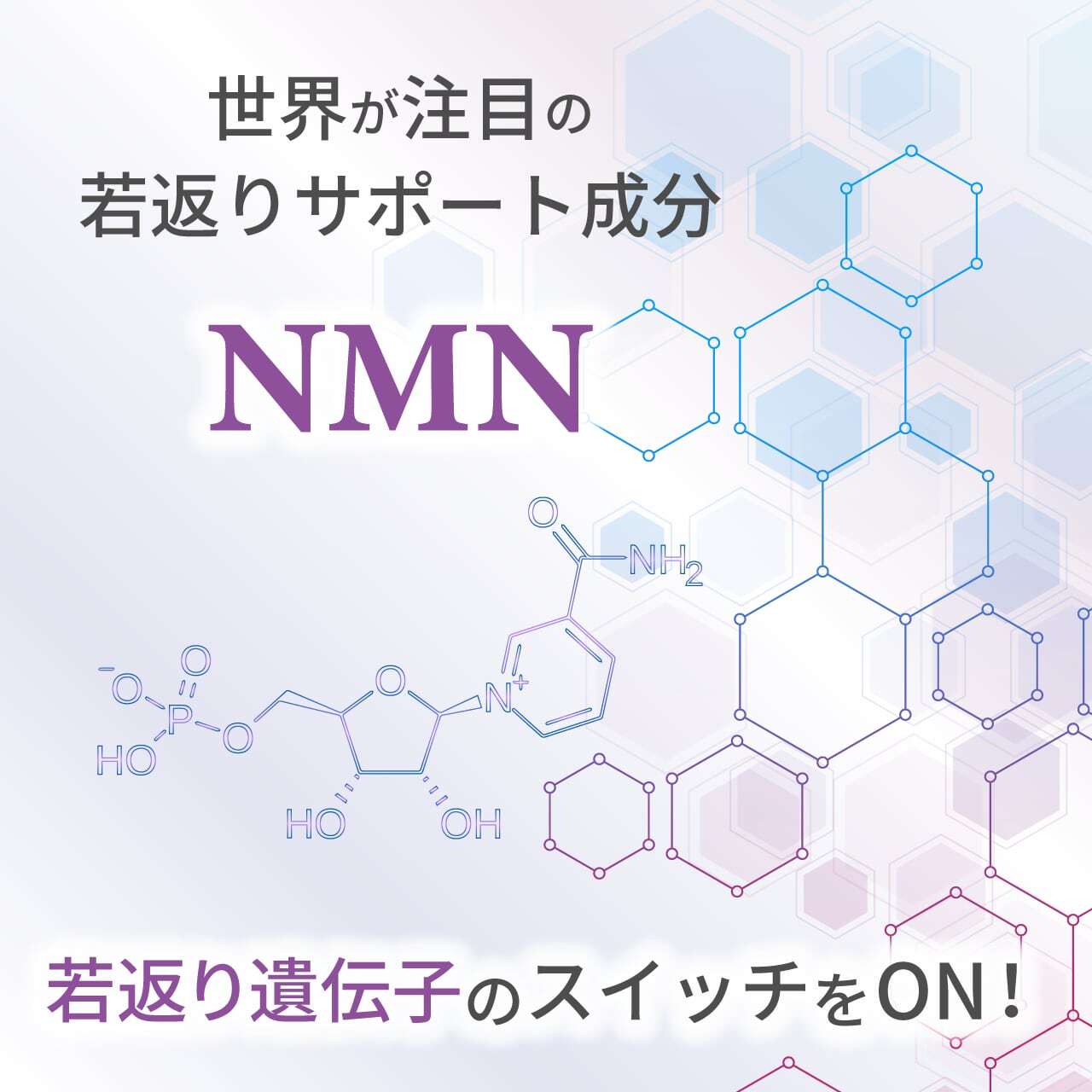 リジェニティ FKクリーム お肌の修復力と再生力を呼び覚まし、加齢