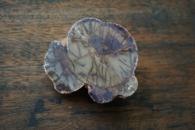 コールドマウンテン・サンダーエッグ Cold Mountain Thunderegg 2364