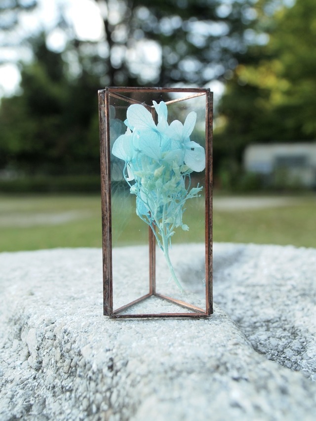 hacomidori　三角植物標本（中）　あじさい（light blue）【hcm-sh-aj-m-l.bl】