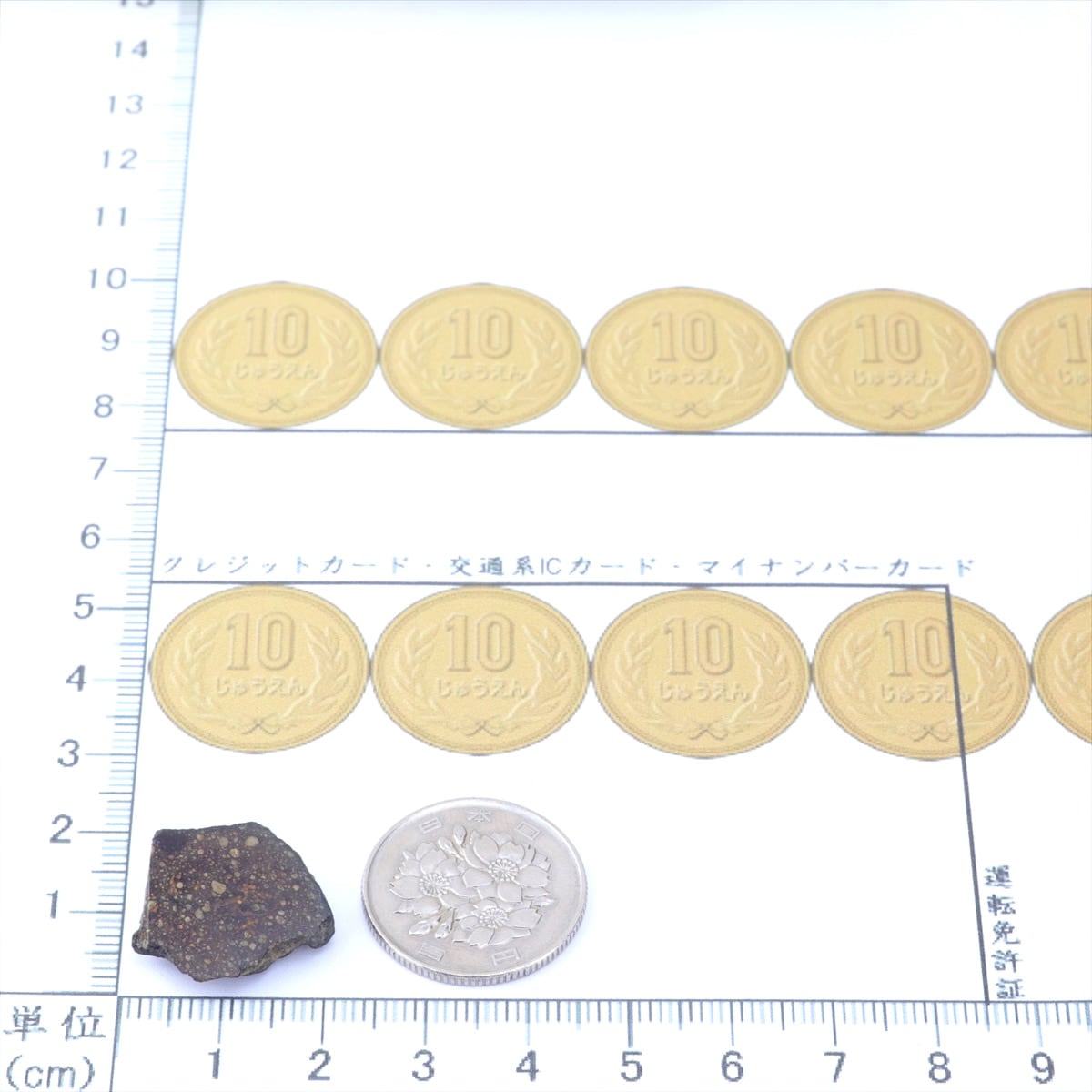 NWA978 隕石 2.8g ルムルチコンドライト R3.8 石質隕石 標本 M2601
