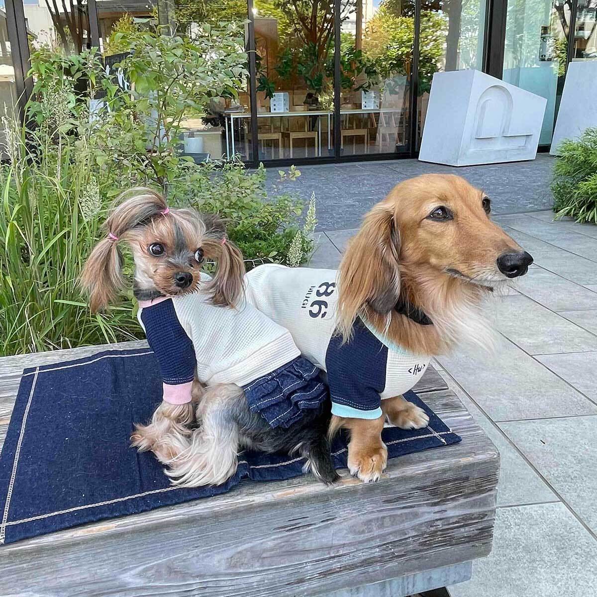 Waffle Works L/S Tee ロングスリーブ | HERE COMES THE WOOF!