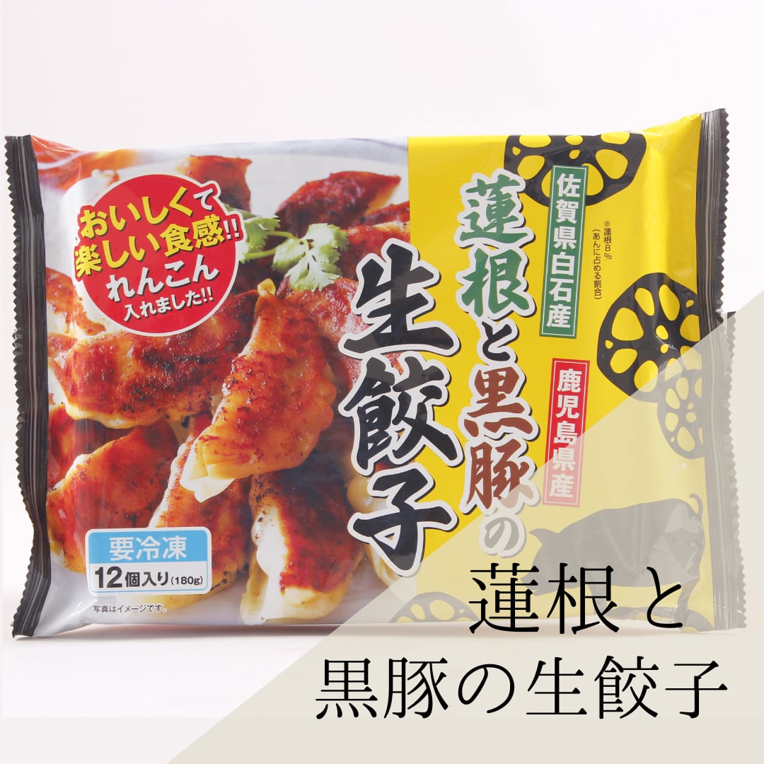 蓮根と黒豚の生餃子(12個入り)【冷凍】 | KANESUE KITCHEN-かねすえ