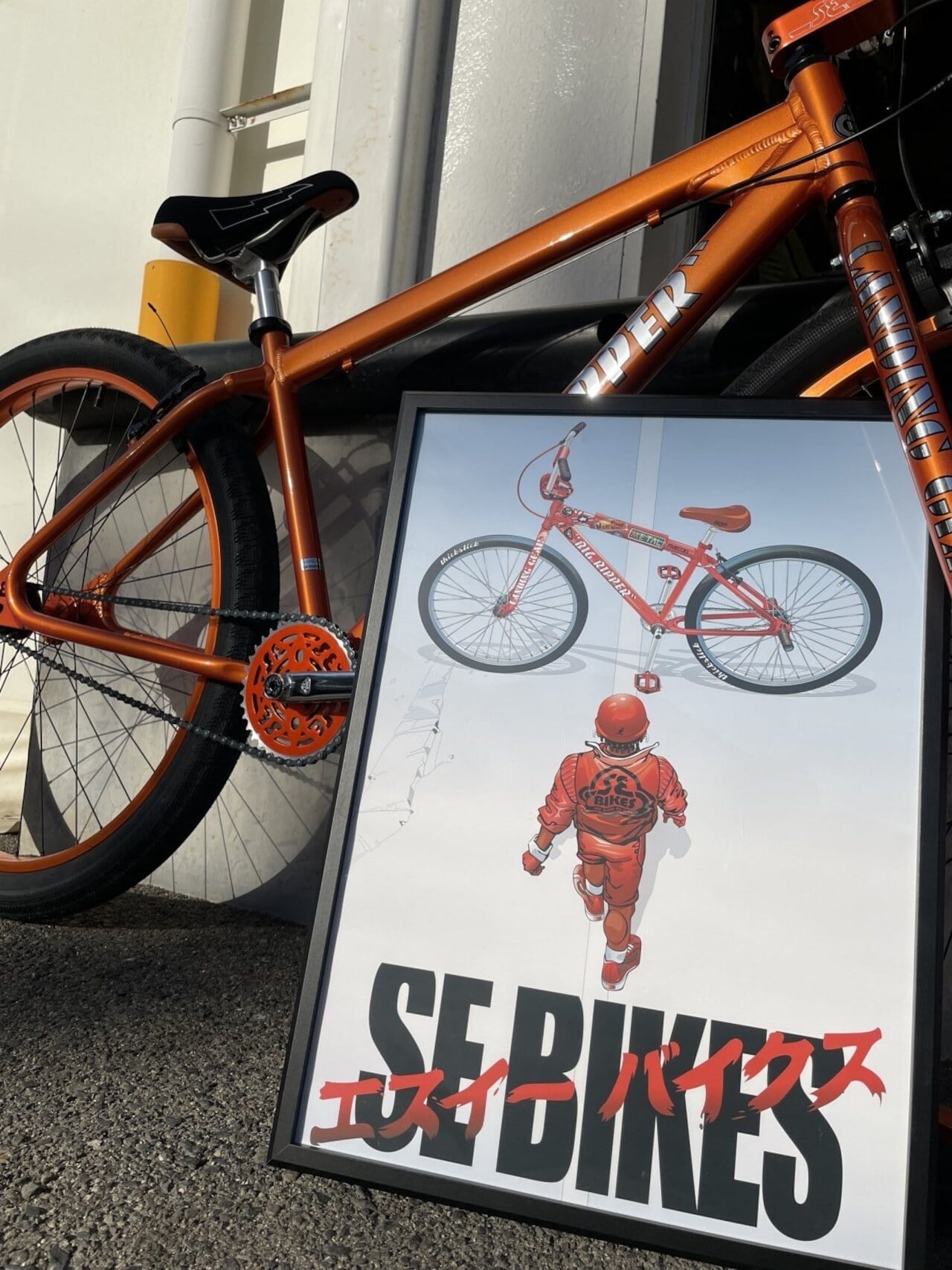 SE BIKES_BIG RIPPER 29