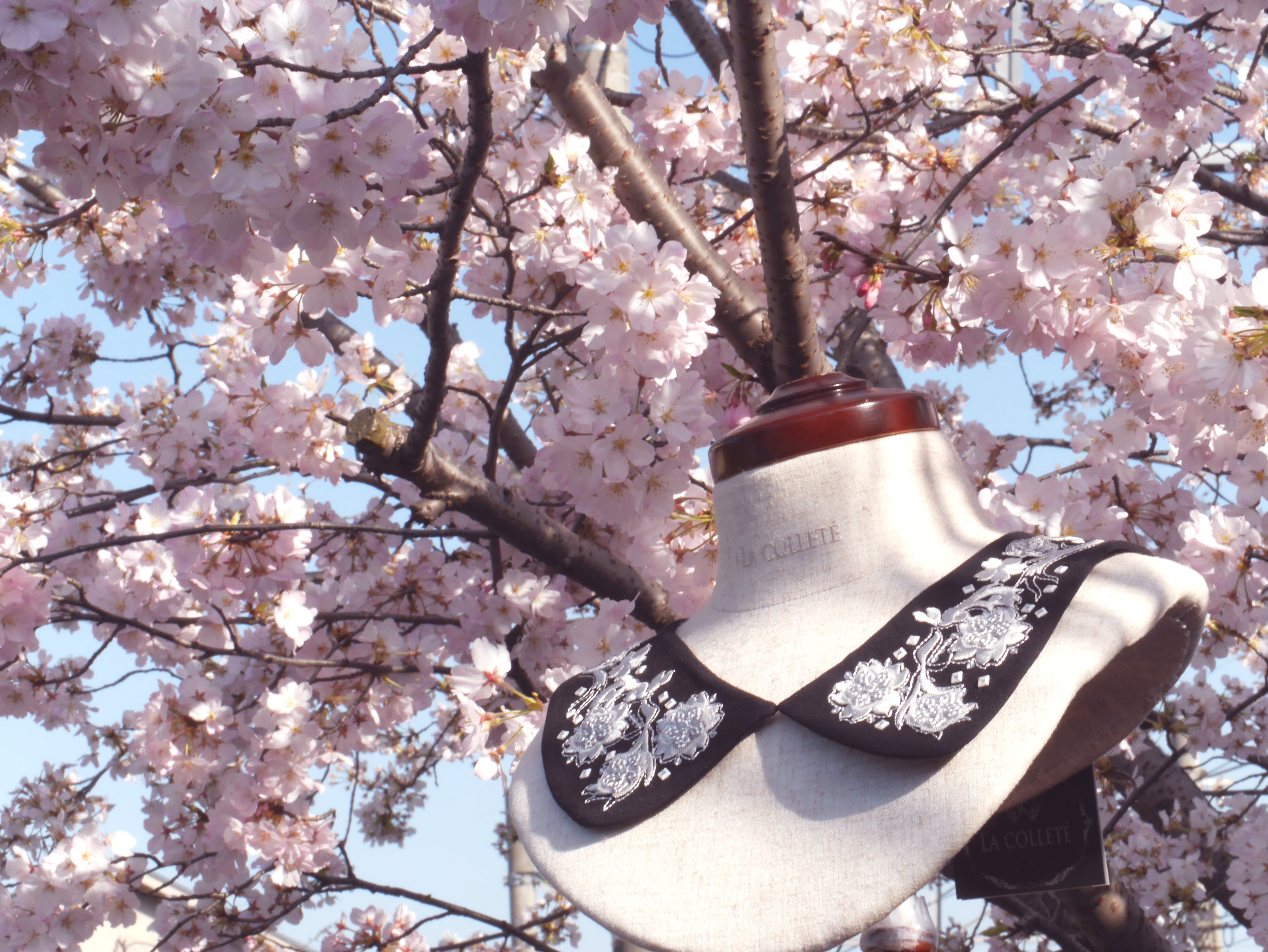 京都の御室桜をイメージ Is 003 立体花刺繍付け襟 Lacollete