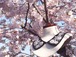 【京都の御室桜をイメージ】IS-003　立体花刺繍付け襟