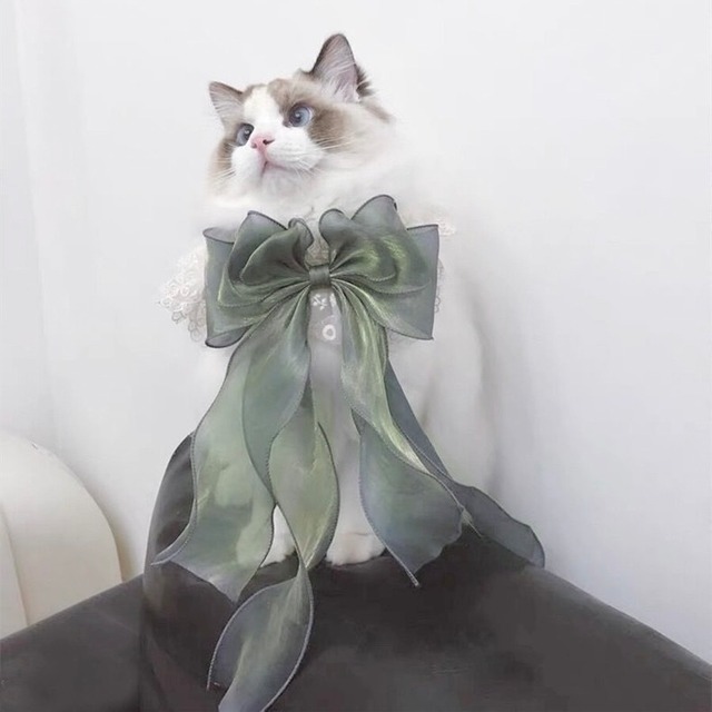オーロラ Green エプロンリボン 猫 付け襟