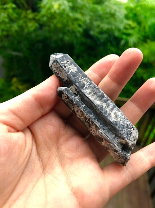 わたしには相応しい仲間がいる