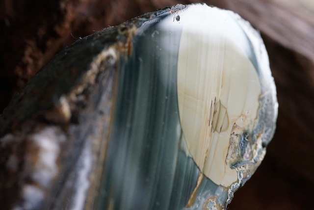 ブルーマウンテンジャスパー　Jasper