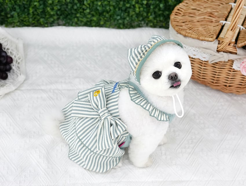 butter stripe frill onepiece set S ~2XL 2color r / 犬服 新作 春夏 麦わら帽子 セット お揃い 袖なし 涼しい フリル ドッグウェア ドレス 可愛い 犬の服 ワンピース b58