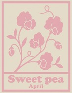 フラワーシリーズ ＜NAME BLANKET　スイートピー  ＞アイボリーxピンク　POP【お名前ブランケット / オーガニックコットン】