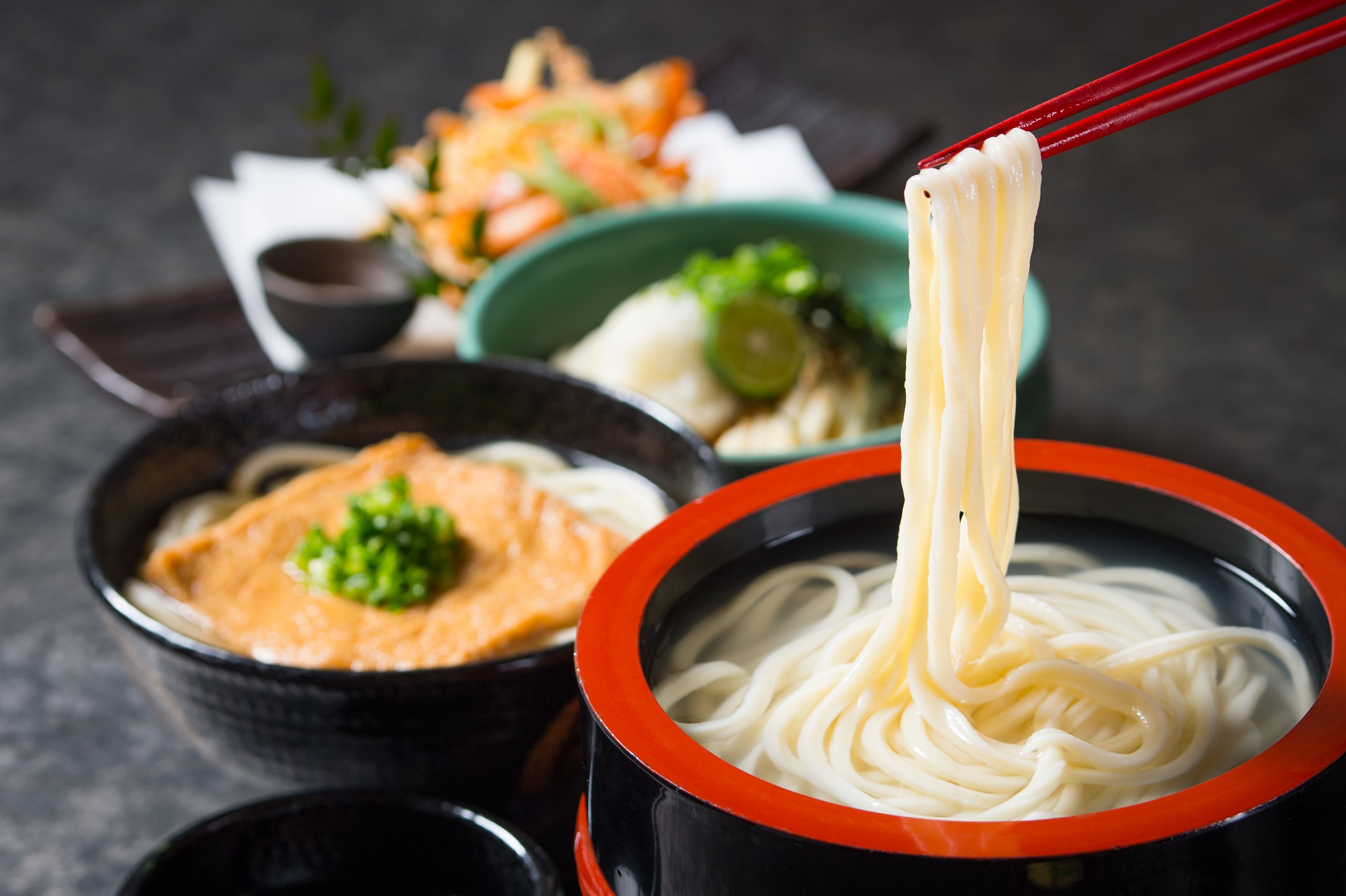 うどん本陣山田家】冷凍讃岐うどん4種の味の詰合せ[6人前] 『送料無料