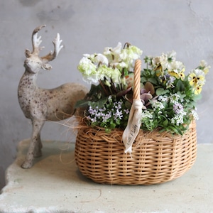 冬から春に楽しむ寄せ植え　シクラメン森の妖精とNorthIslandビオラのシックカラーのハボタンのバスケットの寄せ植え　お正月にオススメ　届いてすぐ玄関に飾れる 　プレゼントにもオススメ　