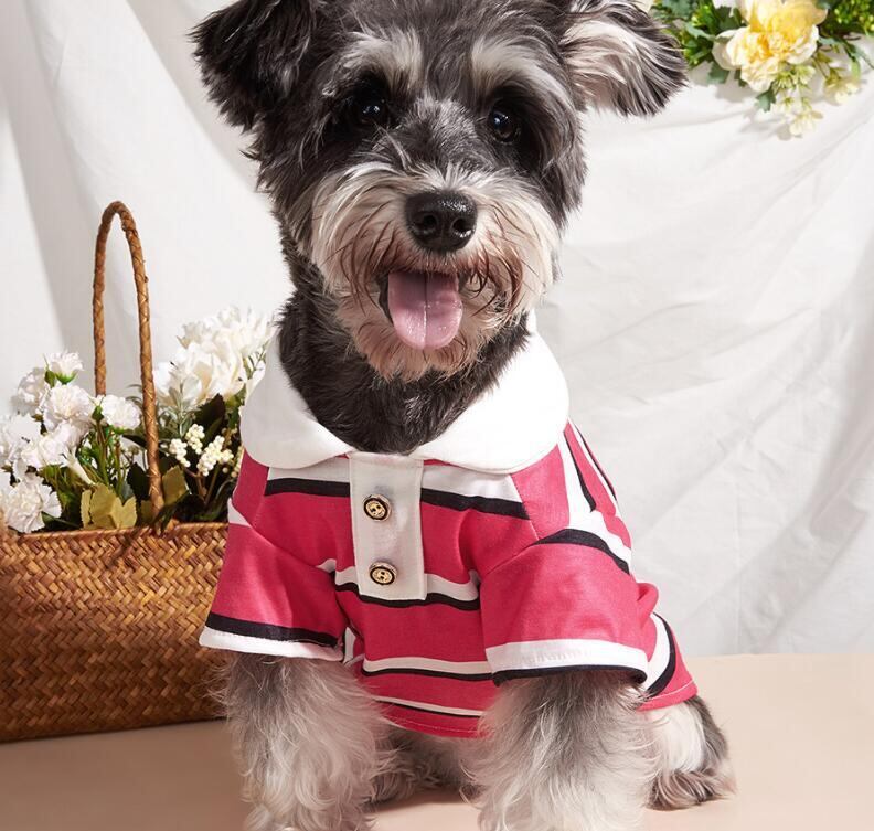 《予約》№1101970 ラガーマンなめらかトップス(太目ライン)