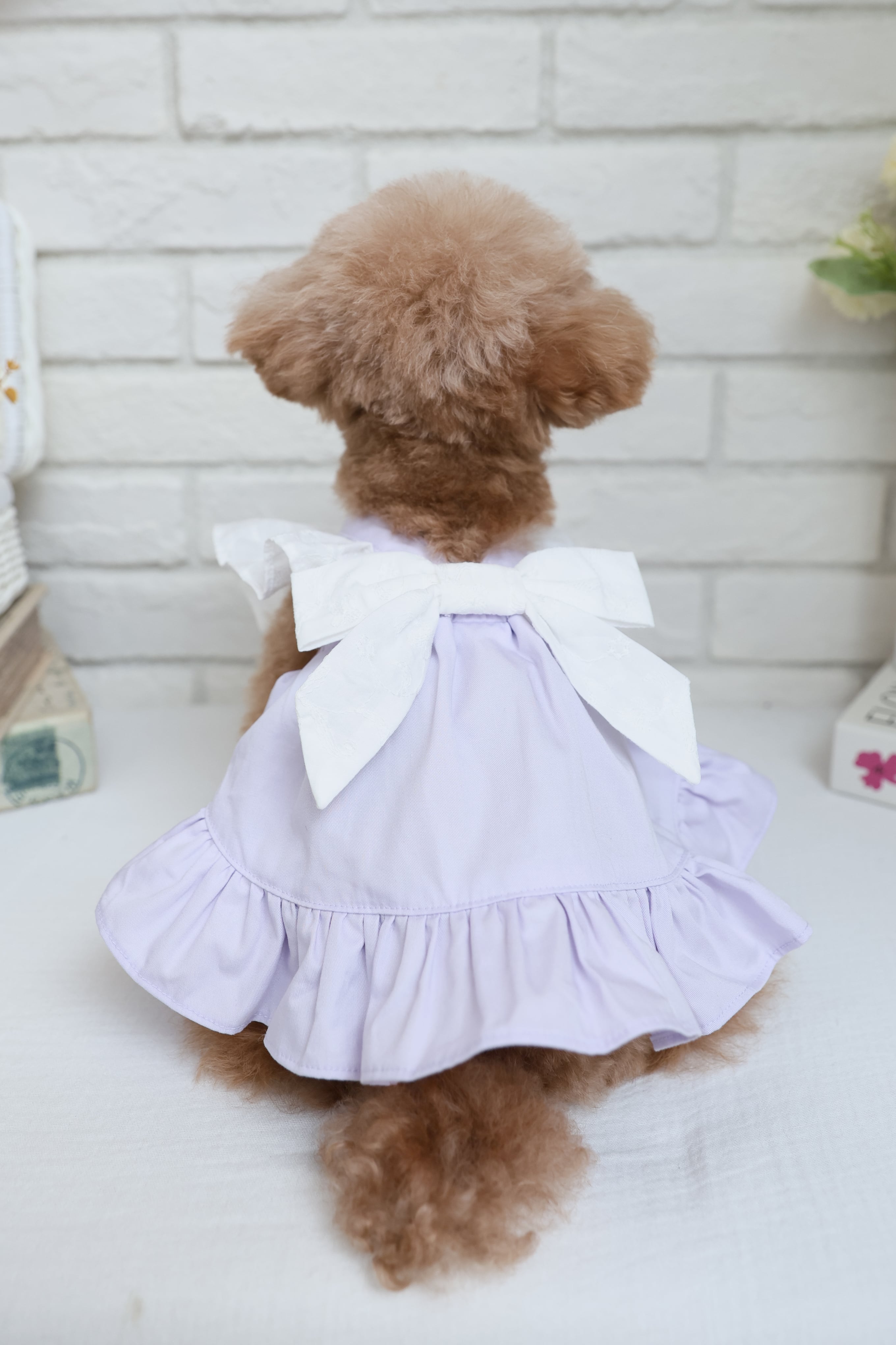 Classical Dress/ラベンダー