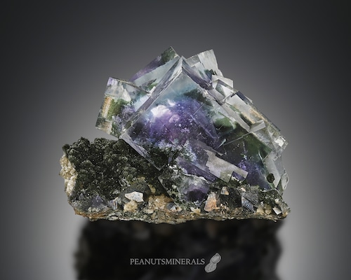 フローライト / クローライト / アルセノパイライト【Fluorite on Chlorite with Arsenopyrite】中国産