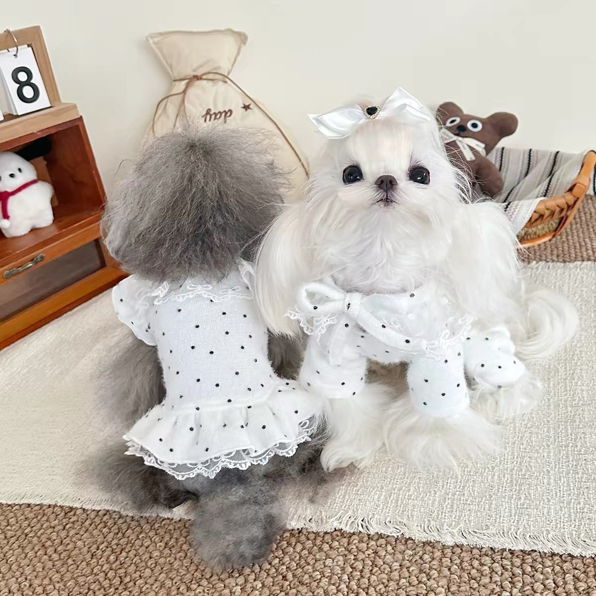 DogWear | haenim dog shop