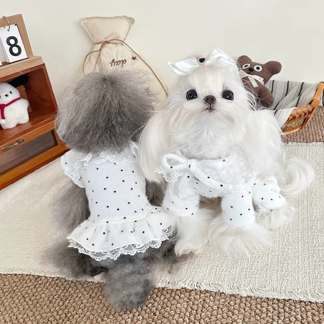 dot lace frill set