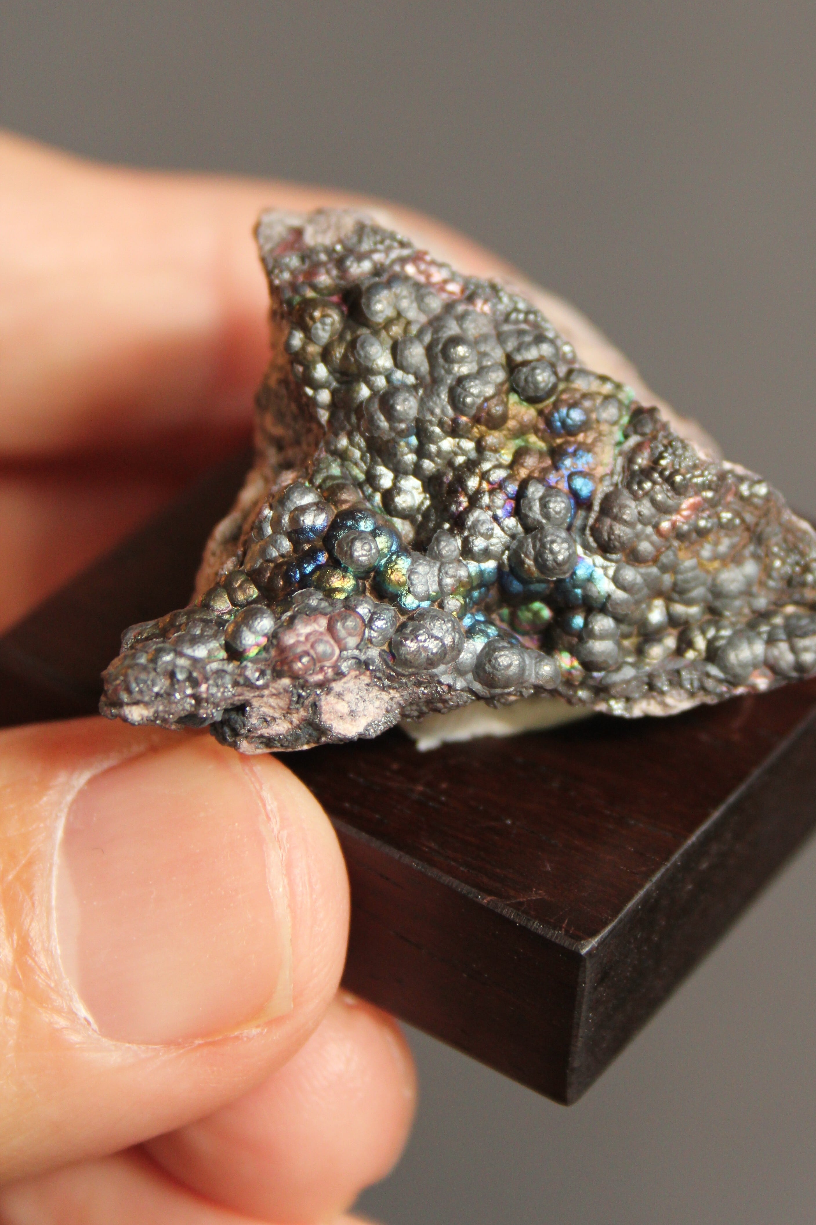 【5104】宮崎レインボー ローズウッドベース大