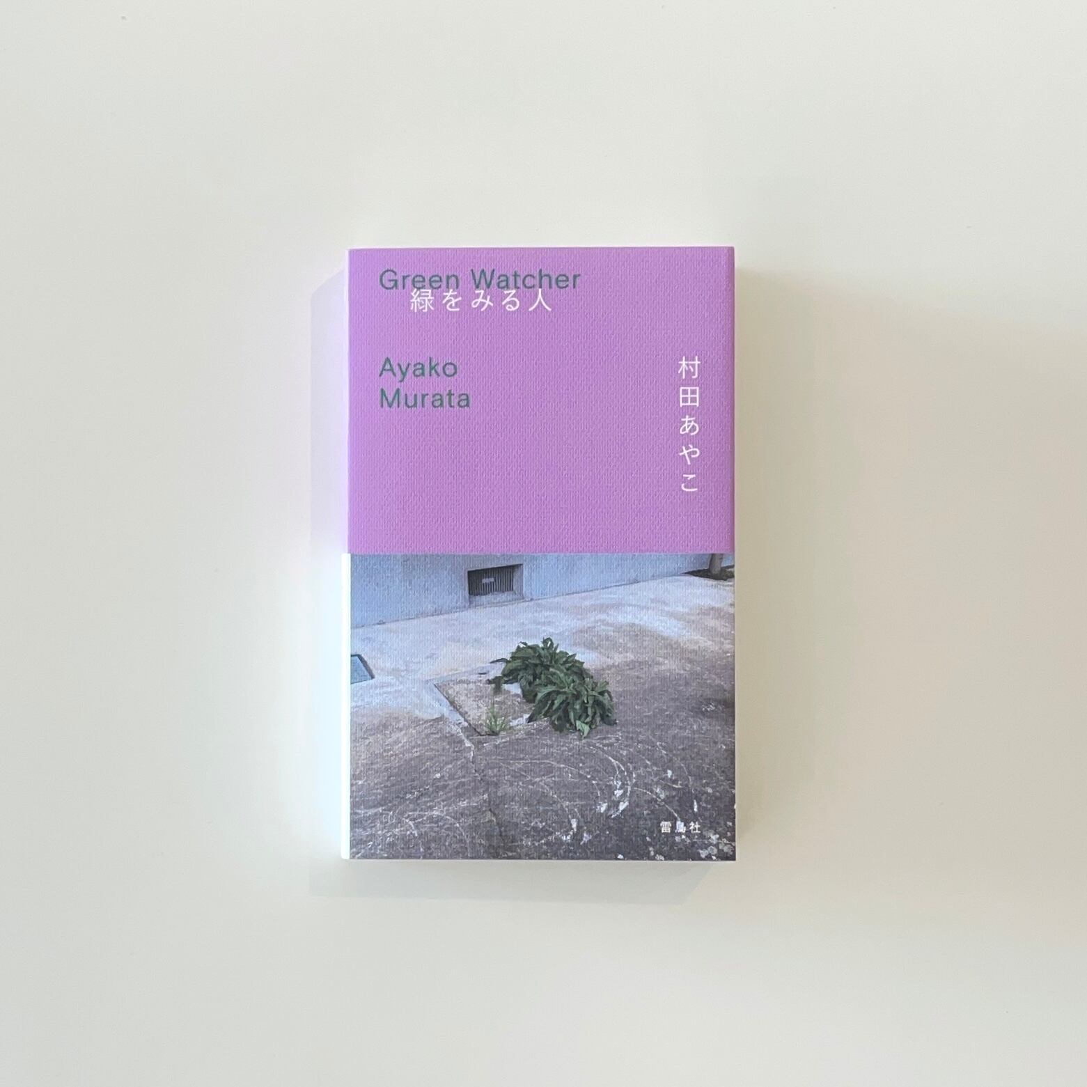 数の辞典｜澤宏司 | 本の栞